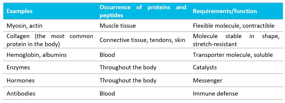Table displaying endogenous proteins and their functions