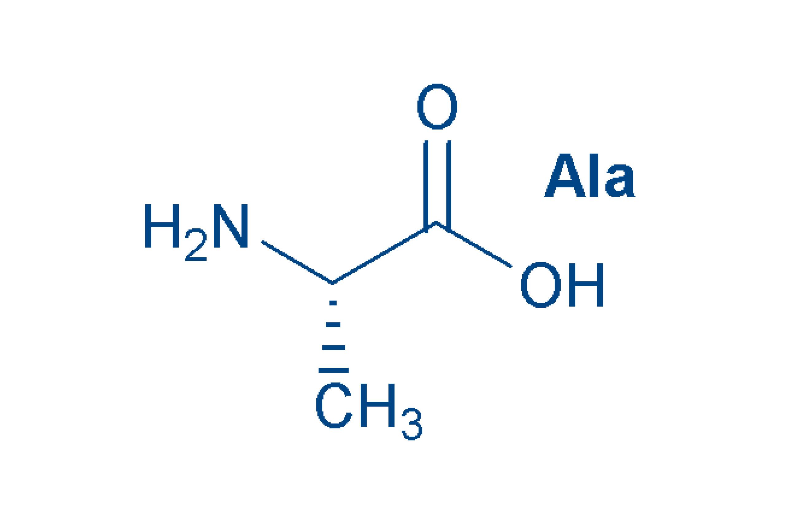 Alanine structure