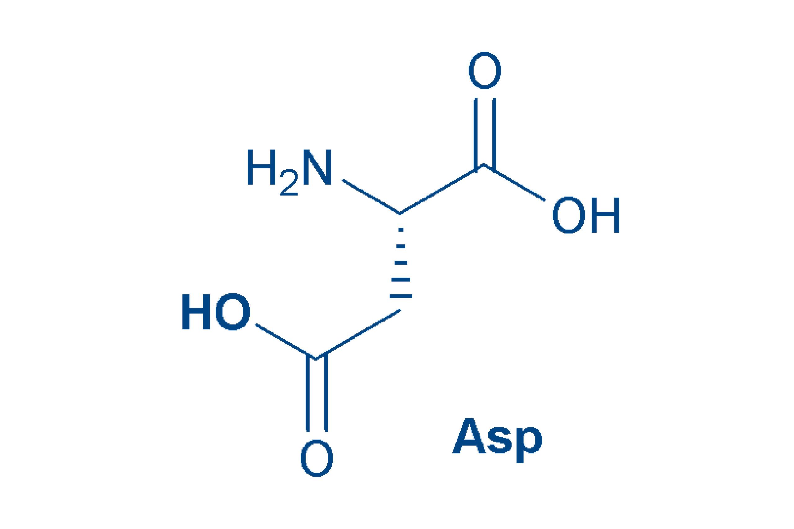 Aspartic acid structure