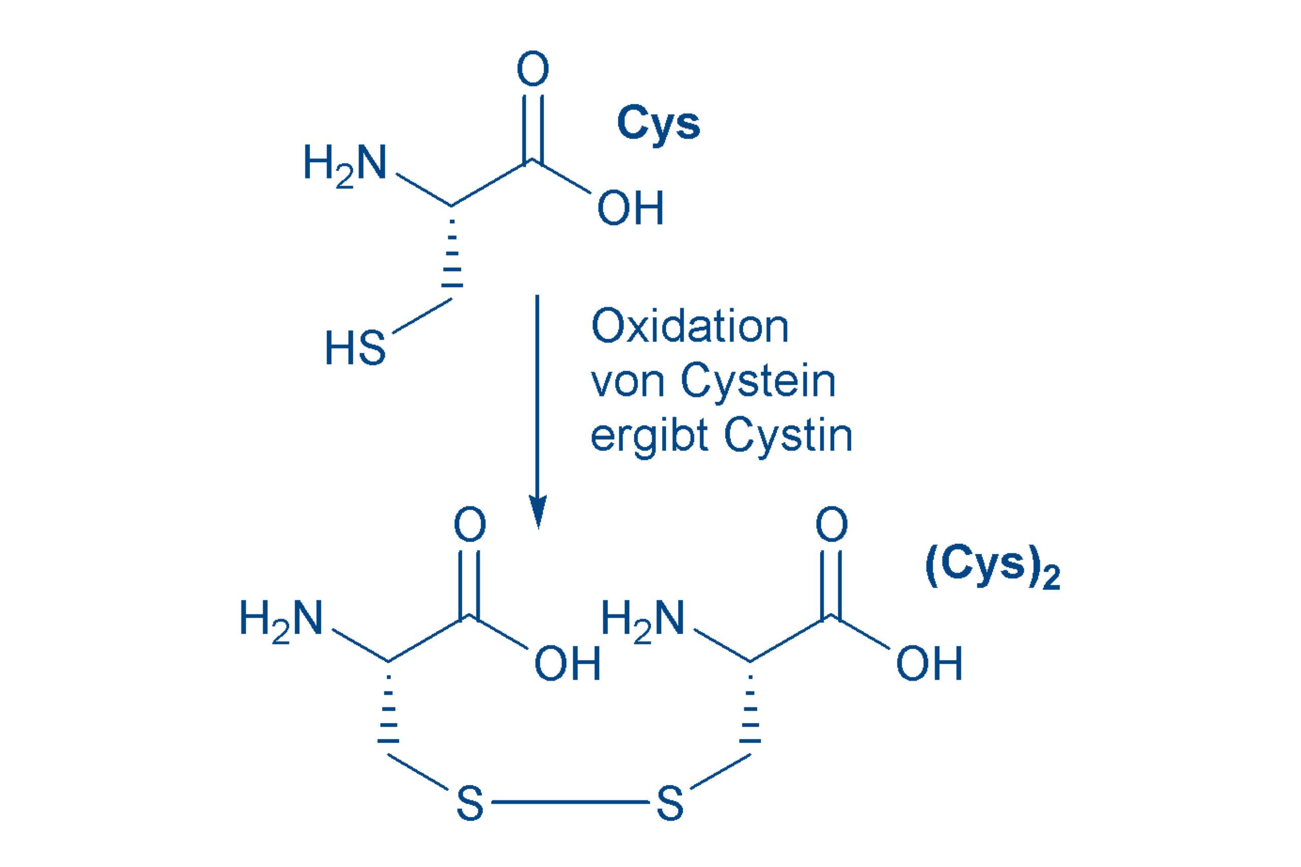 Cysteine structure