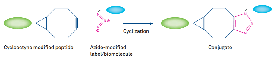Figure 3 Click Chemistry