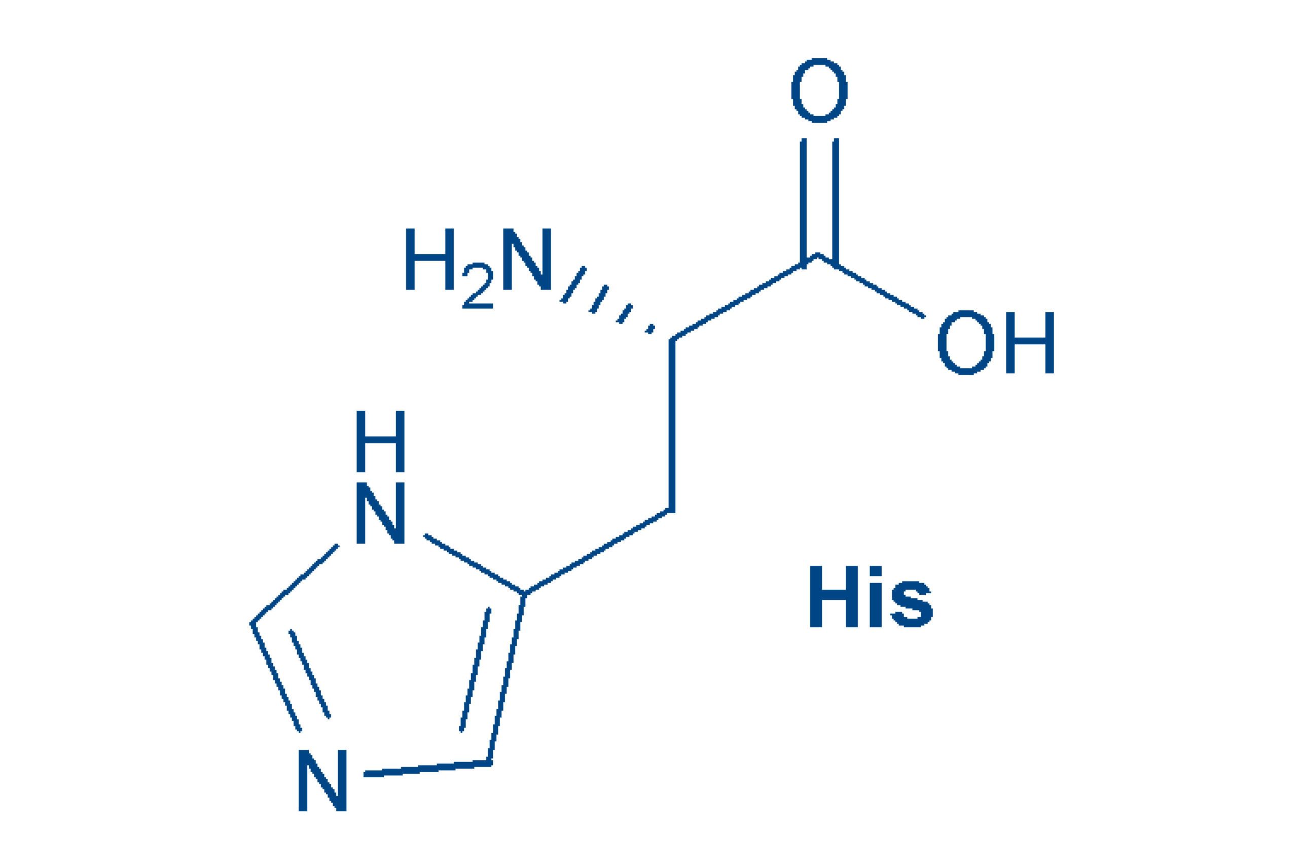 Histidine structure