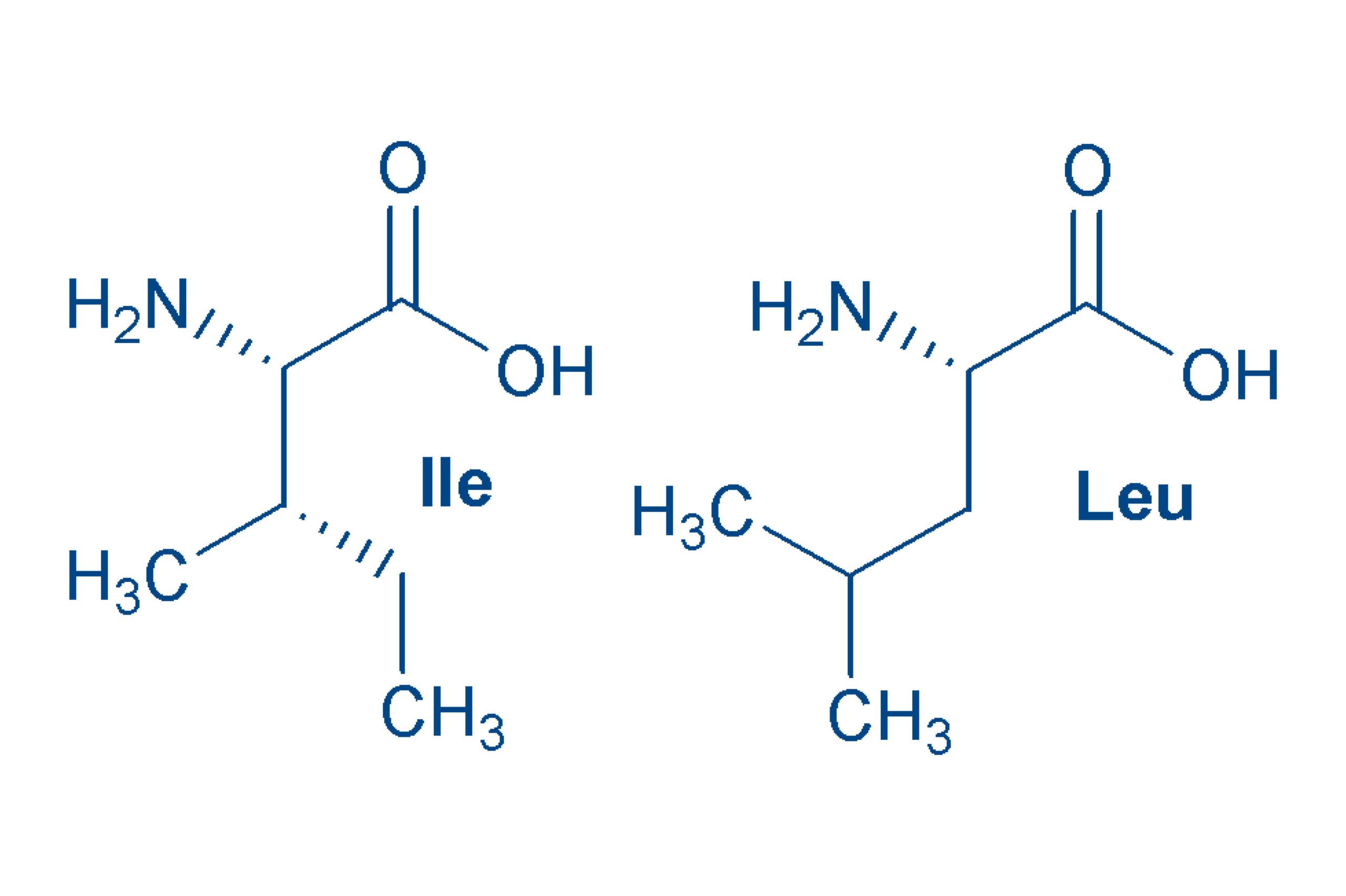 Leucine structure and Isoleucine structure
