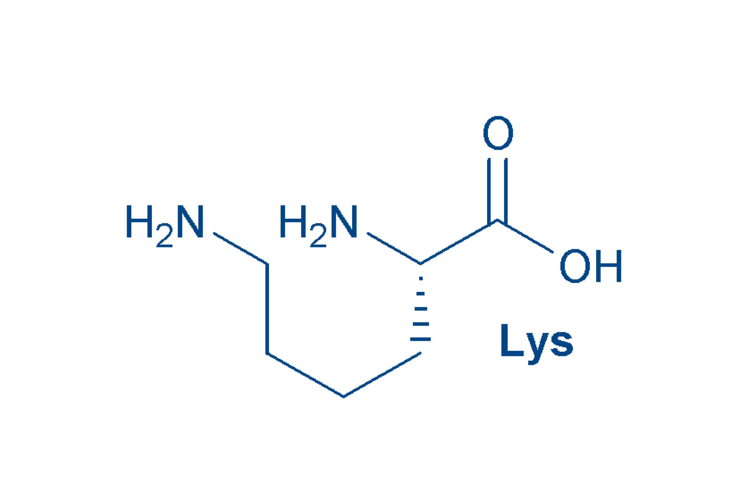 Lysine structure