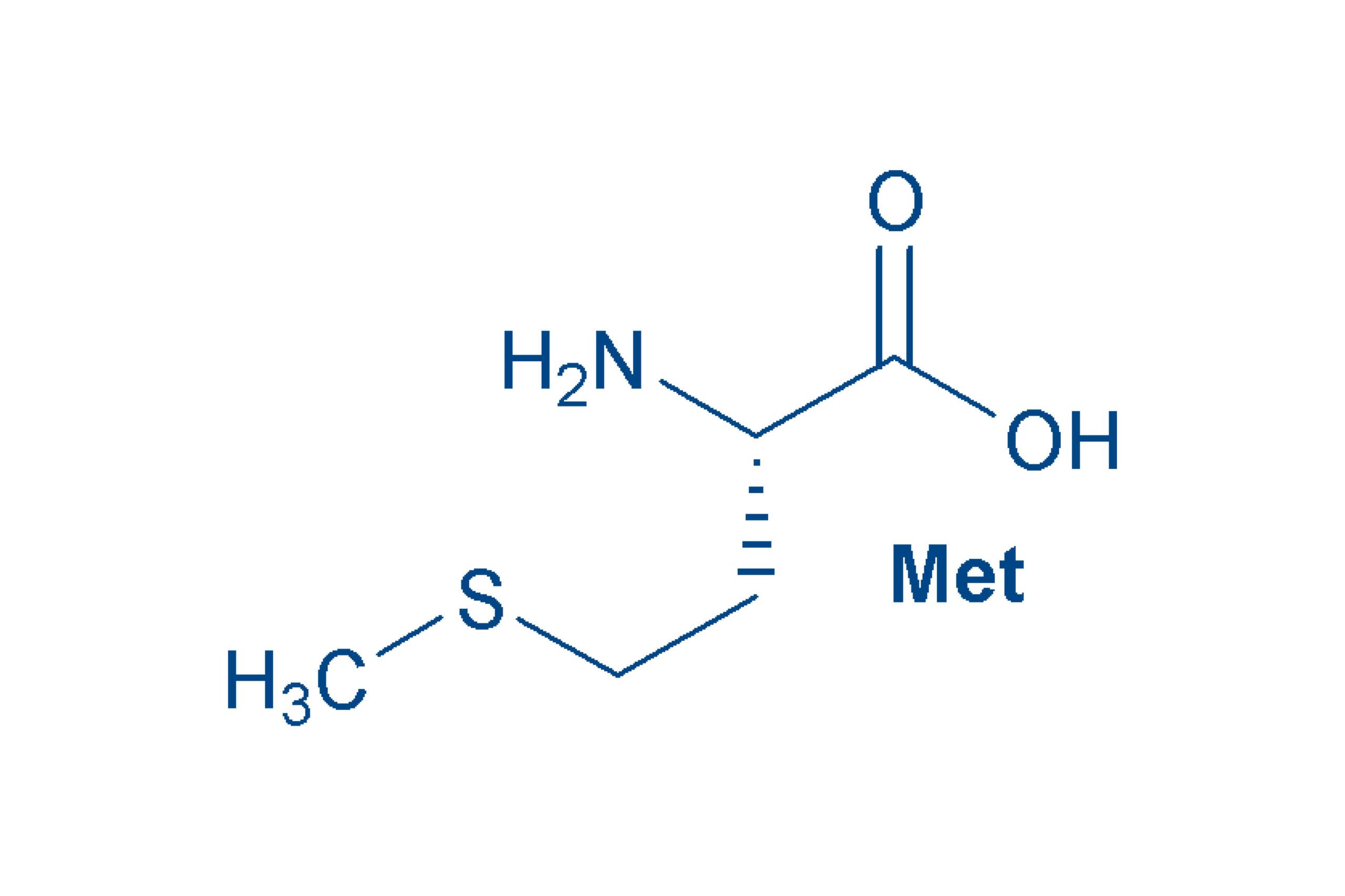 Methionine structure