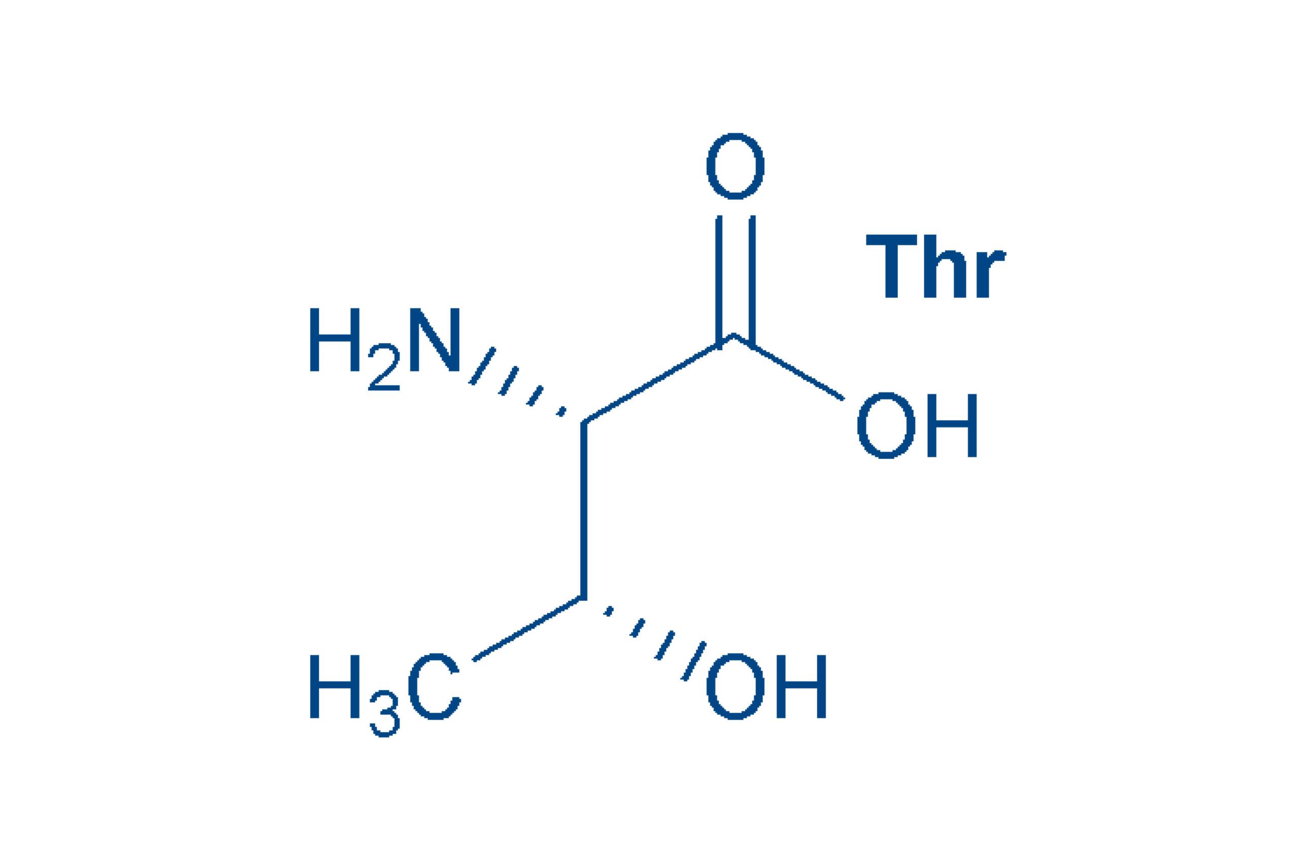 Threonine structure