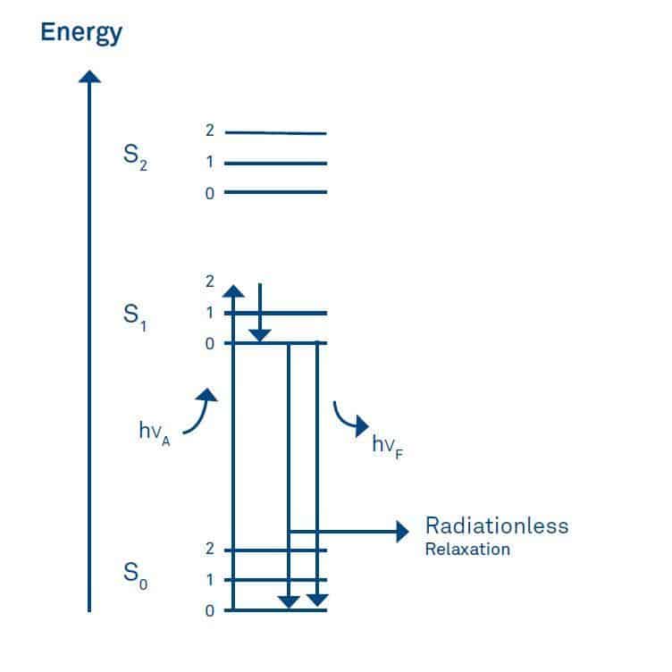 Fluorophores energy level diagram